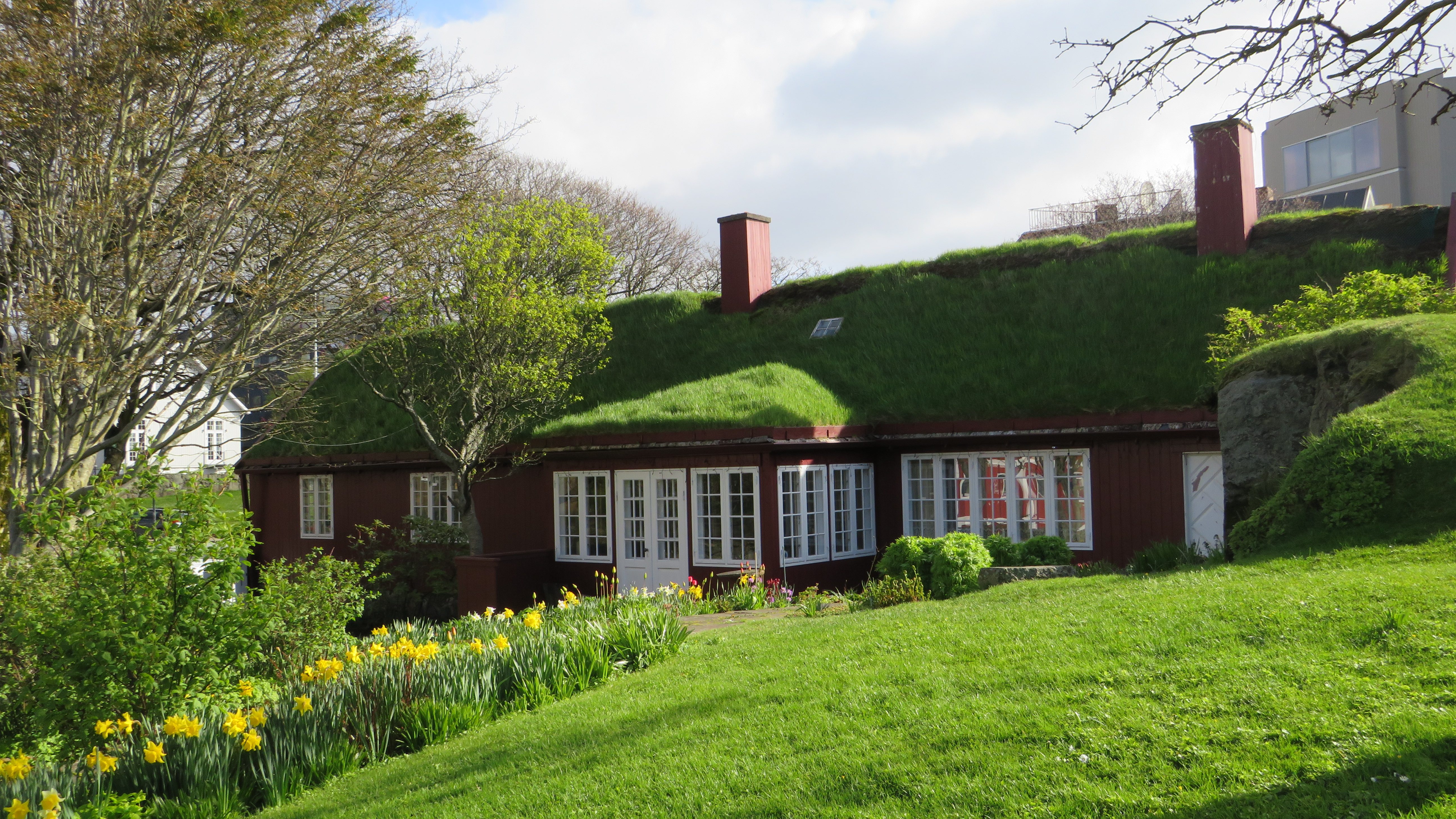 A sunny turf roofed house with flowers outside in Torshavn